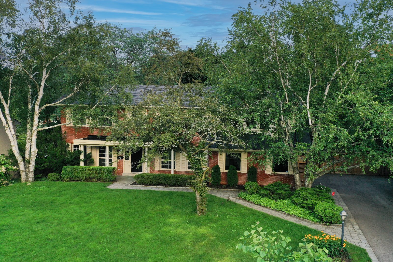 Garden toward the pergola