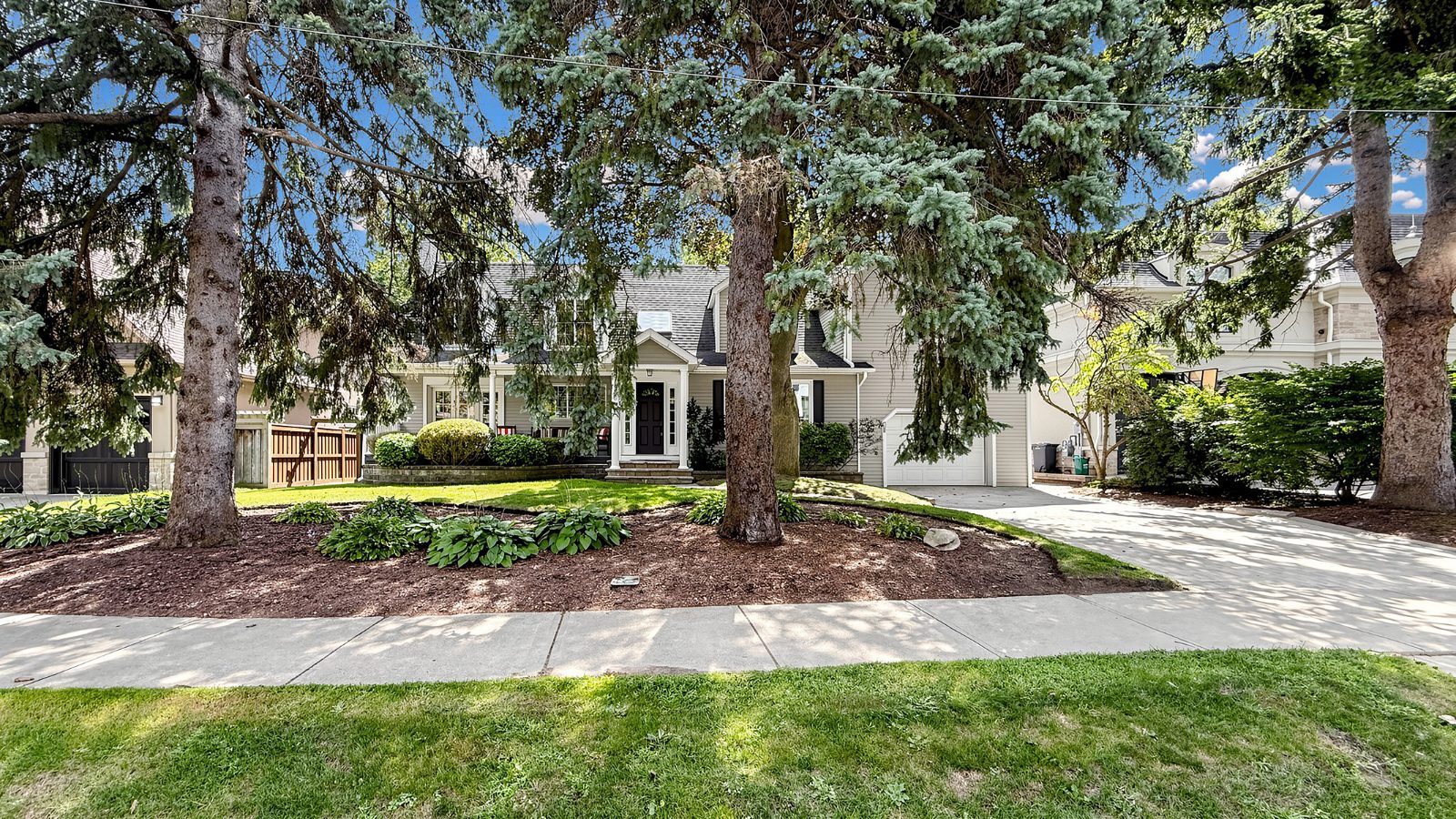 Tree-lined streetscape