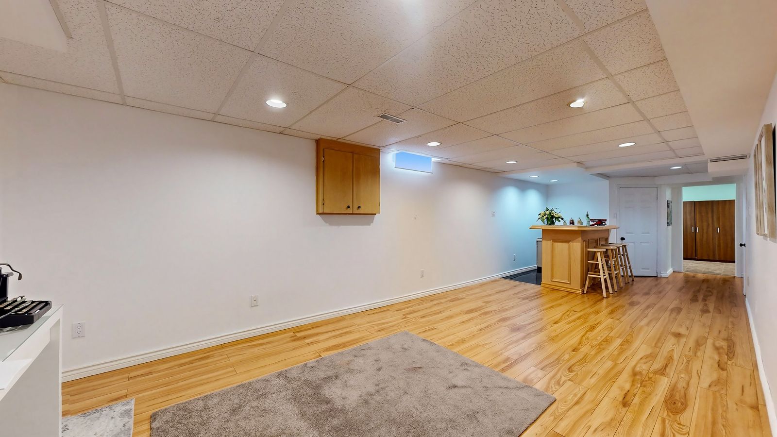 Basement recreation room