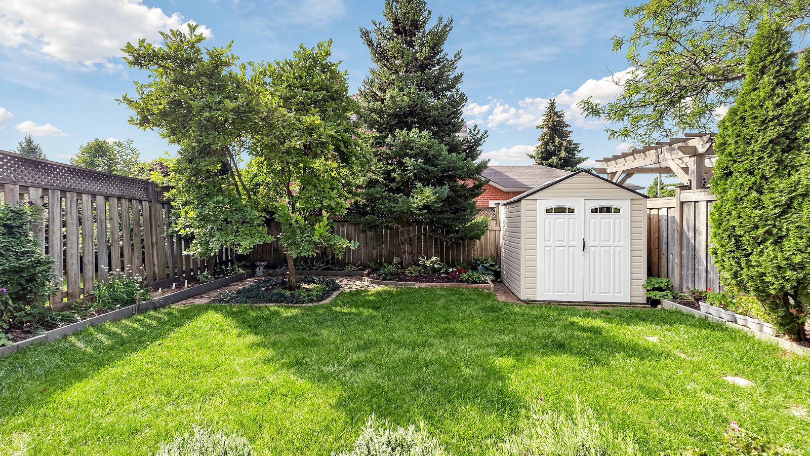 Back lawn and garden shed